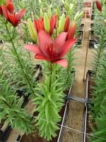 [5693 DJ LZ-04 No01.JPG]